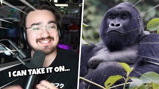Full Bigpuffer Yaps About 100 Men vs 1 Gorilla Update