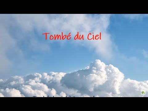 Tombé du Ciel  -  Jacques Higelin   (Paroles)