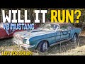 JUNKYARD 1966 V8 Mustang - Will It Run And Drive After Decades?