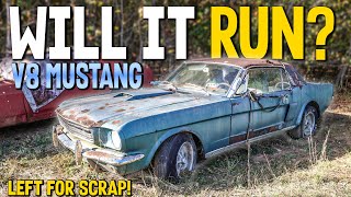 JUNKYARD 1966 V8 Mustang  Will It Run And Drive After Decades?