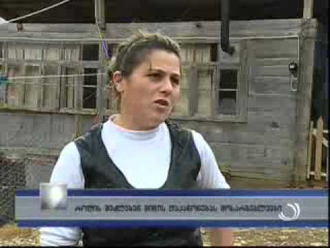 როდის შეძლებენ მიწების დაკანონებას მოსარგებლეები?