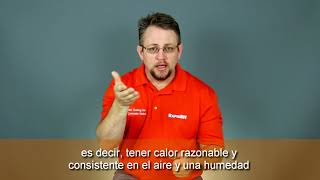 How Fast Does Concrete Dry  The Million Dollar Question SPANISH