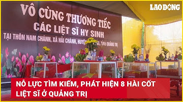 Nỗ lực tìm kiếm, phát hiện 8 hài cốt liệt sĩ ở Quảng Trị| Báo Lao Động