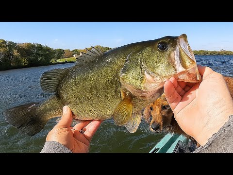 I found BIG bass on a Small southern Minnesota lake During peak Fall conditions!