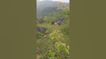 Hnub no mus sim qaib qus nawb teb heev cawg xyov Vim li Cas lub caij no tsis tauj