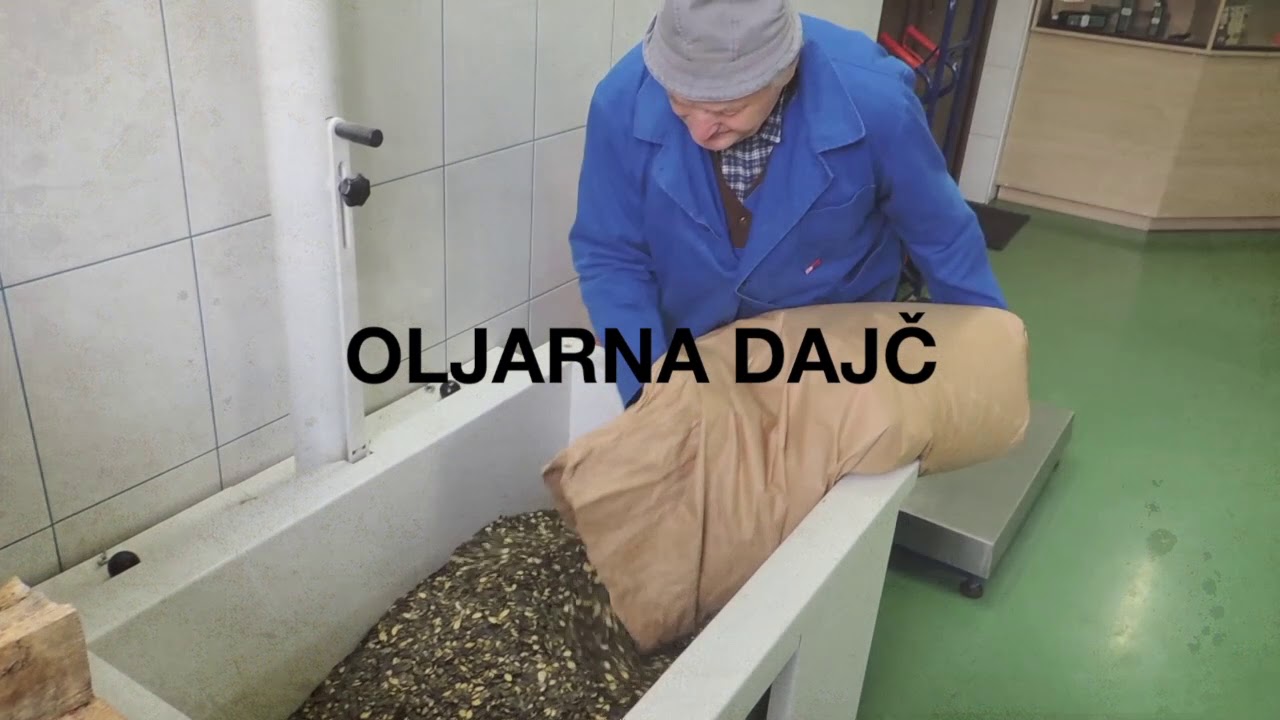 Andreja Rojko Dajč - YouTube