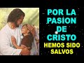 Por la Pasión de Cristo hemos sido salvos, oración poderosa