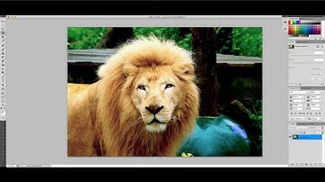 Photoshop Tutorial: Selection Tips/Tricks (Refine Edges)