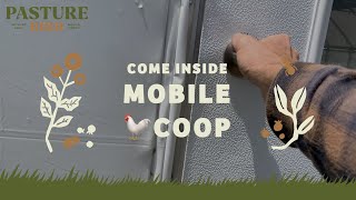 Nothing to Hide!  Come inside our mobile chicken coop.