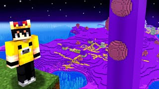 Mor Renkten Nefret Eden Kardeşi̇mi̇ Trolledi̇m Minecraft