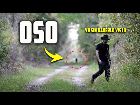 Un oso detrás de mi, un rescate, y lo que viví en los Everglades