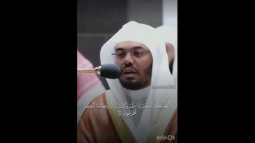 قران  ولئن اطعتم بشراً مثلكم  | الشيخ ياسر الدوسري | #قرآن #سورة_المؤمنون #الشيخ_ياسر_الدوسري 