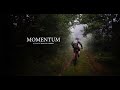 Momentum