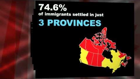 4Cs Infographic Video