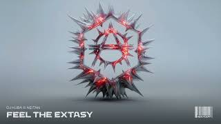 DJ Kuba & Neitan - Feel The Extasy