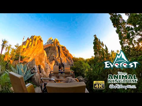 Expedition Everest Roller Coaster On Ride Back Seat 4K POV Disney's Animal Kingdom 2022 10 25