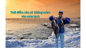 Cách câu cá không móm vào mùa lạnh | Câu Cá ở Nhật | Gia Đình Cá Tráp