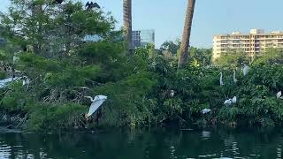 Lake Eola Park. Orlando