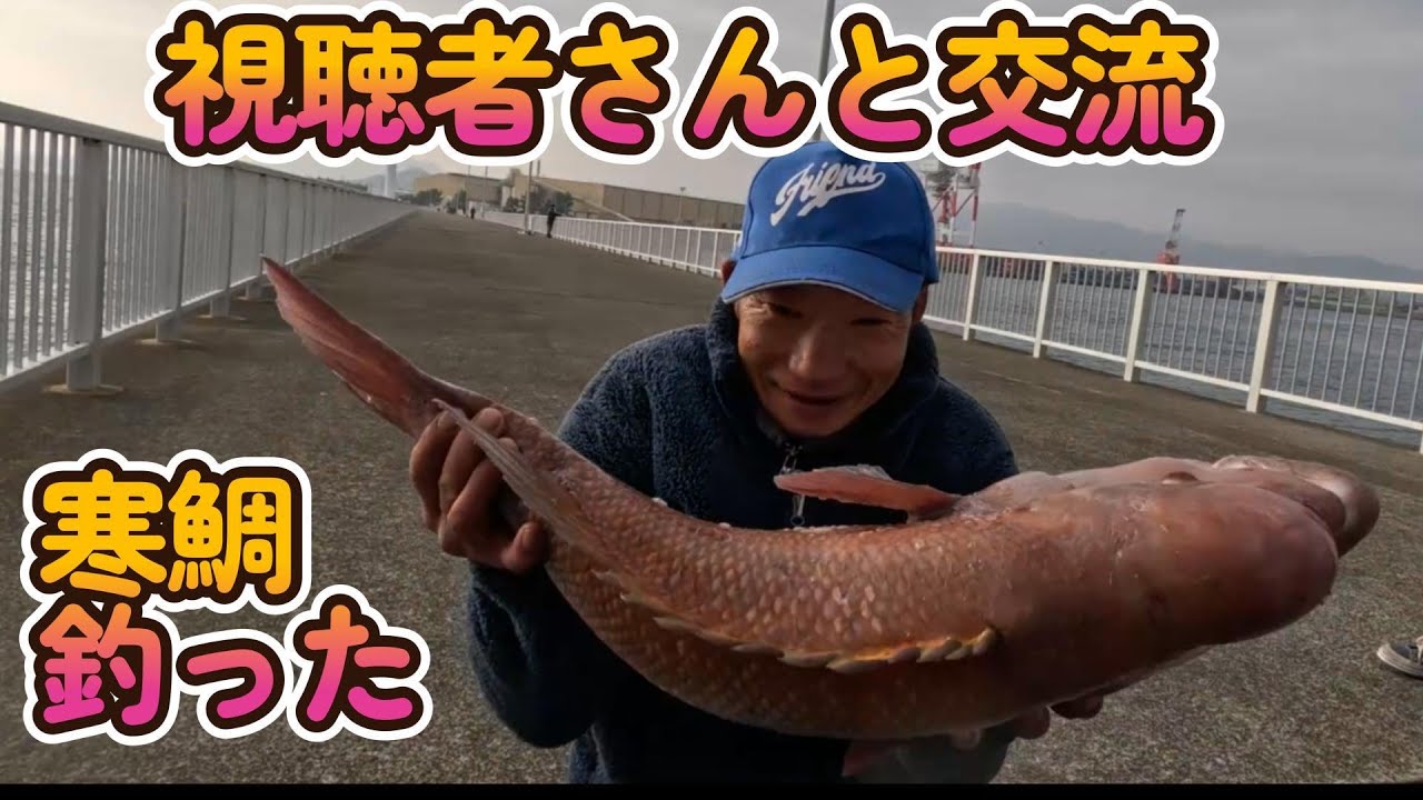 【四国遠征愛媛編】激ムズ波止でヌシをトリコむ、視聴者さんと共同作業で達成