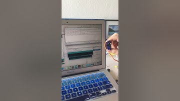 Controlling servo with serial monitor