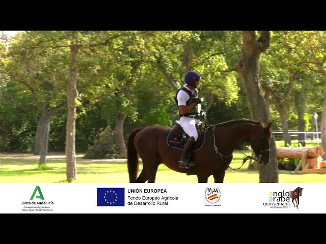 Prueba Cross Country CCI2* y CCI3*. Gran Semana Anglo-árabe 2022