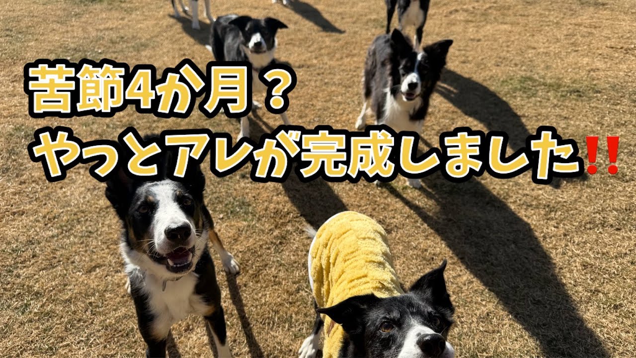 【猟師んちの7ボーダーズ】苦節4か月？やっとアレが完成しました‼️