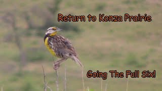 Return To Konza Prairie: Going The Full Six!