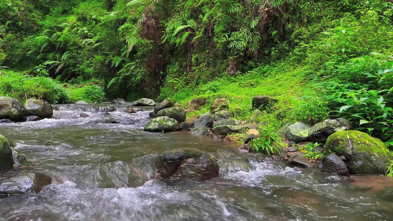 Shallow River Flow – Soothing Nature Sounds for Meditation