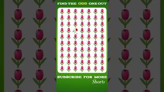 😈 Accept the Challenge – Find the Odd One Out!#shorts #youtubeshorts #puzzle #findtheoddoneout