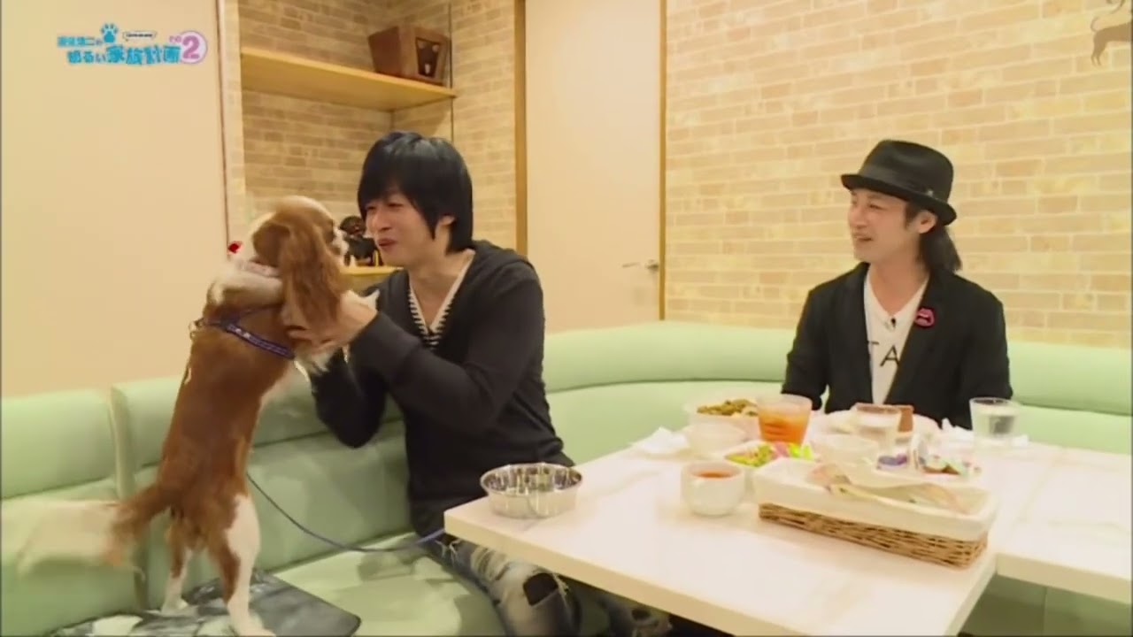 犬と戯れる遊佐浩二