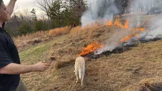 Prescribed fire with AnAmericanForester