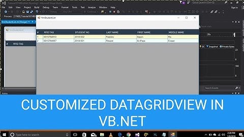 Customized DataGridView Using VB.Net