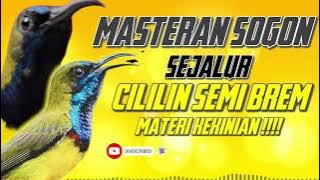 MASTERAN SOGON‼️ SEJALUR MATERI CILILIN SEMI BREM MATERI KEKINIAN #sogon #sogongacor #sogokontong