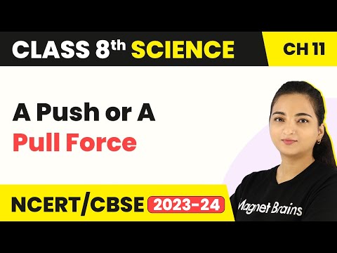 Class 8 Science Chapter 11 | A Push or A Pull Force - Force and Pressure