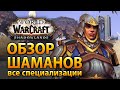 Этот тотем ОЧЕНЬ КРУТ! Обзор ШАМАНОВ WoW Shadowlands (Все специализации)