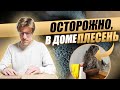 ПЛЕСЕНЬ в доме: ПОЧЕМУ ПОЯВЛЯЕТСЯ плесень в интерьере и как ее ПРЕДОТВРАТИТЬ ?