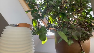 WdKA home assignment – inside vs. outside