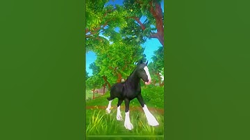Sso Quick Star Stable Edit!😱 / Sso Short / Sso Edit #sso #starstable #starstableonline #shorts