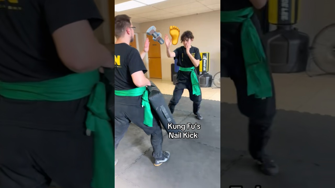 Lion Martial Arts Academy