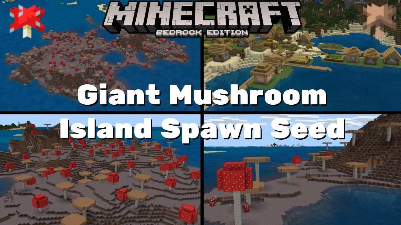 Giant Mushroom Island Spawn Seed Minecraft Bedrock Edition 1.16 YouTube