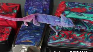Chameleon Play with Ijoy Shogun Kit Again