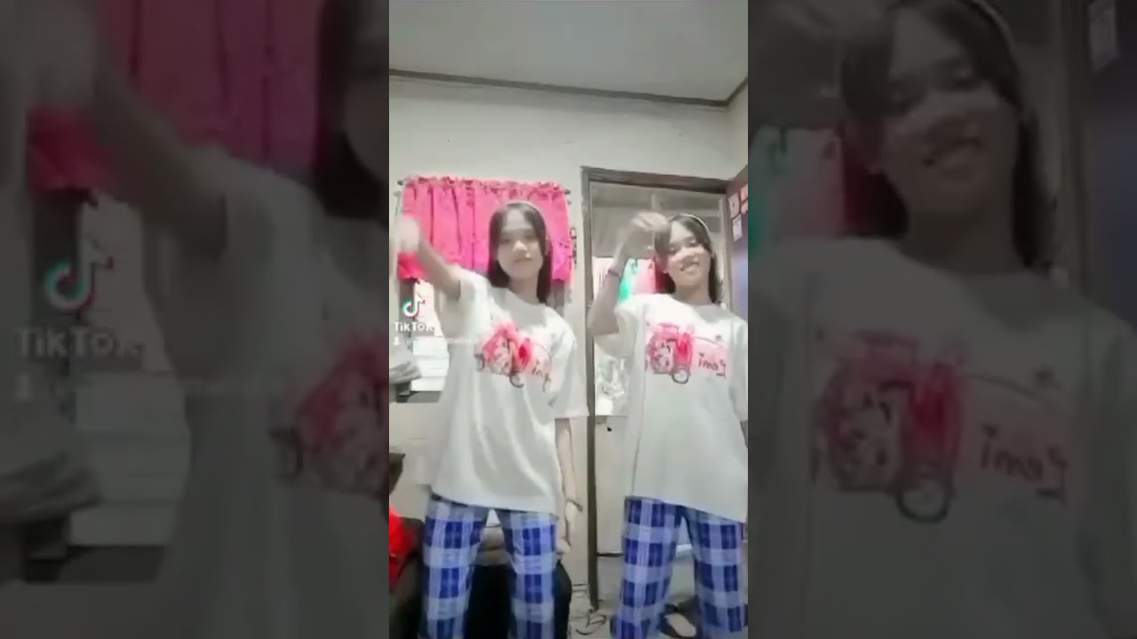 Twins 