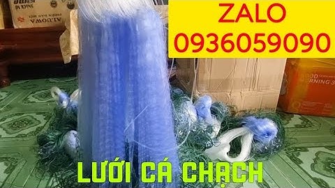 Cung cấp lưới cá chạch. Cung cấp lưới cá chạch đồng. Lưới chuyên giăng cá chạch. ZALO 0936059090
