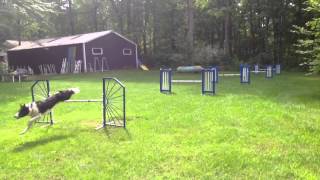 Lever - Jump Grids, 8/9/2014