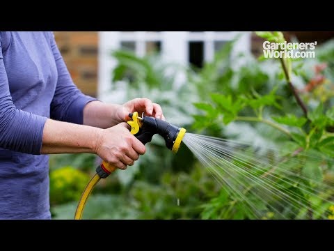 Video: Vattenslangfästen: Hur Man Väljer En Trädgårdsslanghållare? Funktion Av Trädgårdsvattensprutpistoler, Filter Och Andra Tillbehör