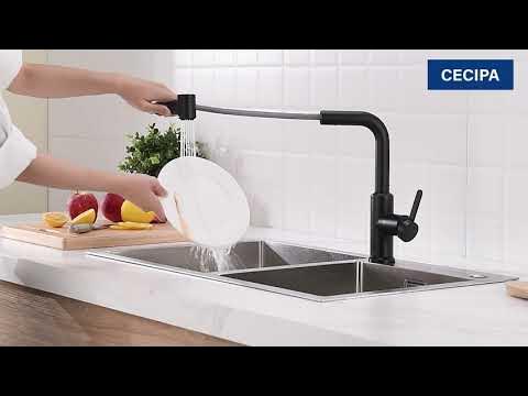 CECIPA Robinet de Cuisine Extractible 2 en 1, Mitigeur Mixte