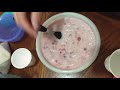 Bolis Gourmet de FRESAS con CREMA | RECETA | Fácil y Rápido con Gaby