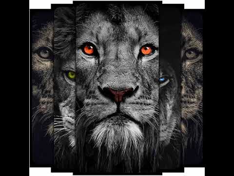 نغمة رنة هاتف ميكس هادئ روعة  نغمة جوال روميكس تحميل 3 نغمة موبايل هادئة 3