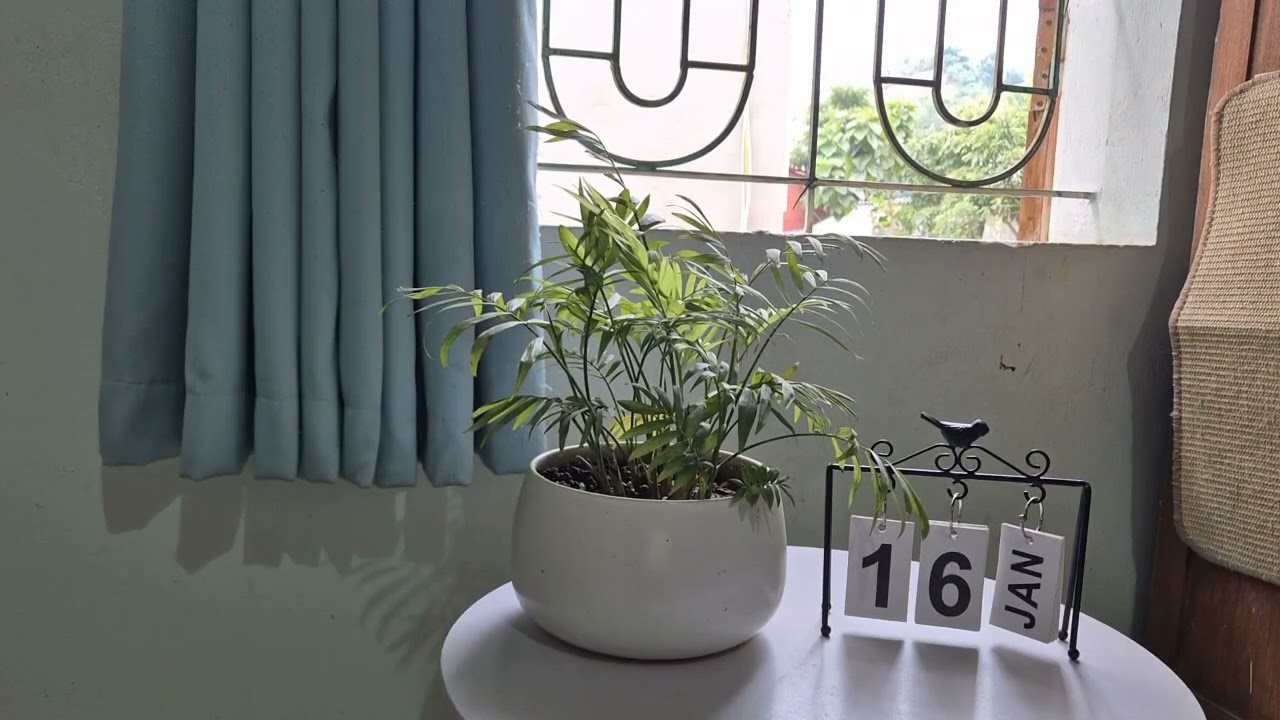 22 # Oder một tình yêu cao cấp # C53 - C54 # Ngải Tiểu Đồ