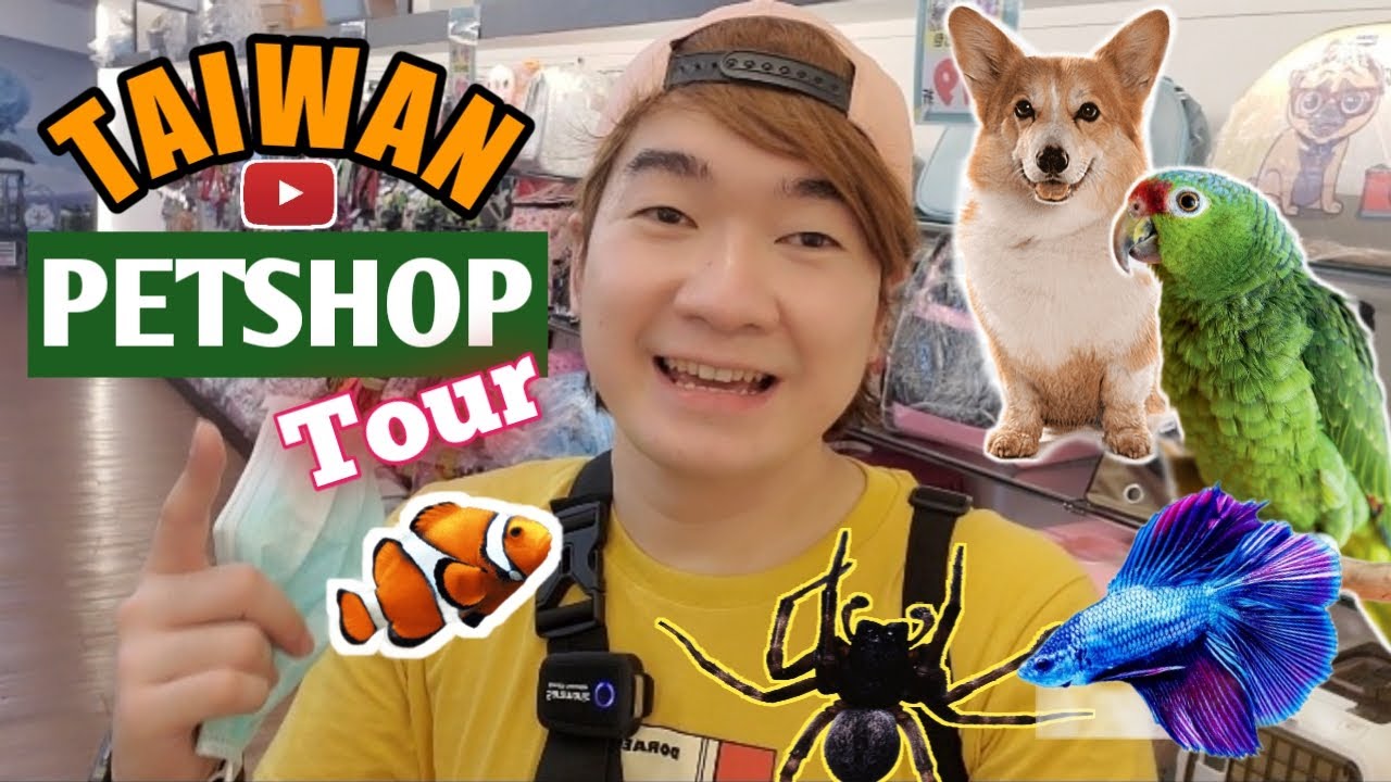 First LOOK INSIDE a Pet Shop in Taiwan Pet Prices Fishes, Birds and